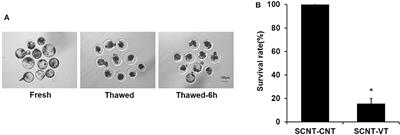 Single-Cell Transcriptome Profiling Revealed That Vitrification of Somatic Cloned Porcine Blastocysts Causes Substantial Perturbations in Gene Expression